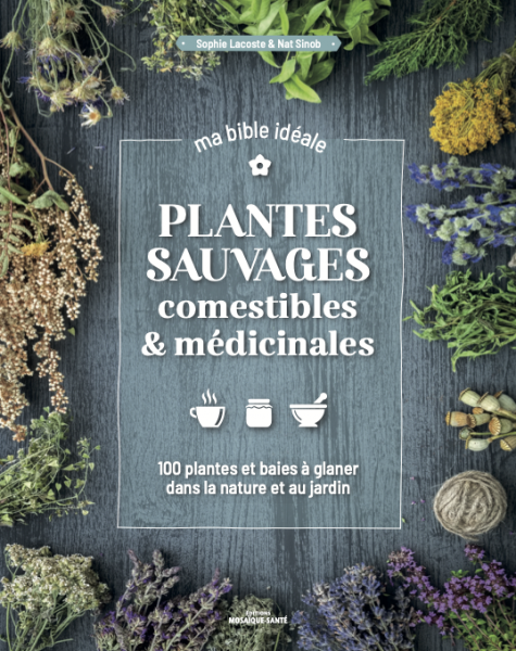 Plantes Sauvages
comestibles & médicinales